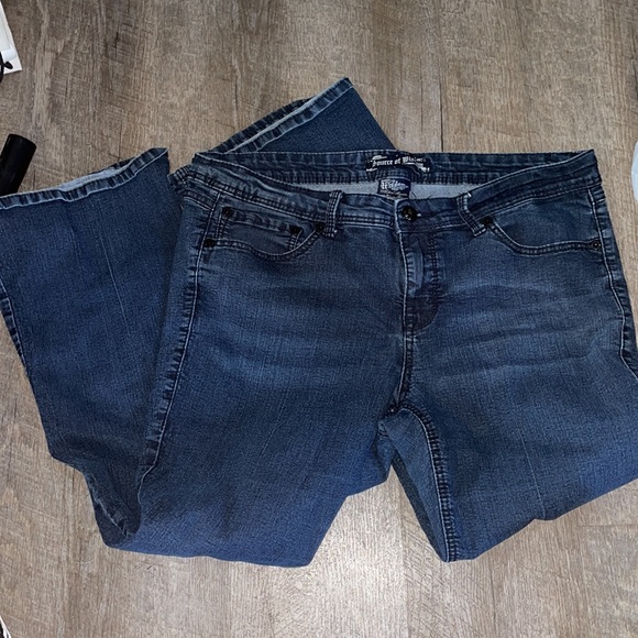 18 source of wisdom by torrid blue jeans